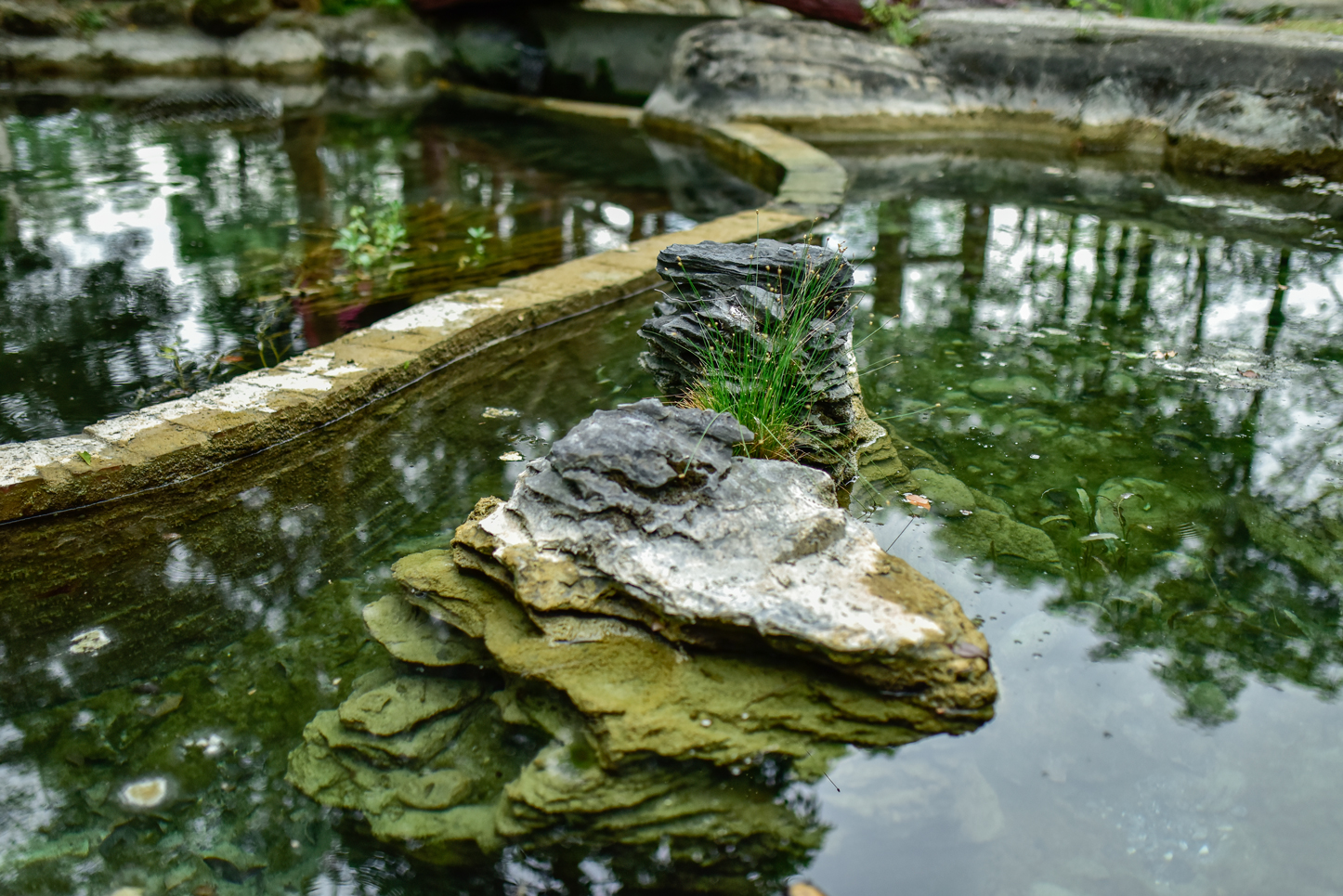 YiYuan Ecological Pond 