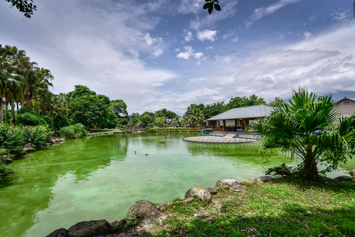 Family feeding fish pond 